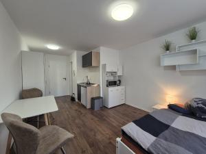 Η κουζίνα ή μικρή κουζίνα στο Mikra Homes24 in Glauchau