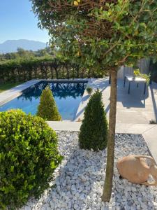 einen Garten mit einem Baum und einem Pool in der Unterkunft Independent Room in Villa with Pool in Costermano sul garda