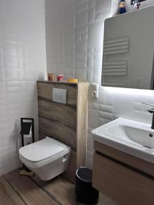 a bathroom with a toilet and a sink and a mirror at Karolinas Deluxe Appartement-Bungalow in Dranske +14 photos