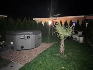 a appliance sitting on the grass in a yard at night at Karolinas Deluxe Appartement-Bungalow in Dranske