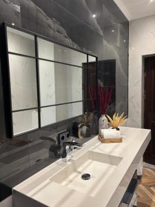 Iridam De-Luxe في Jugelsburg: حمام مع حوض ومرآة كبيرة