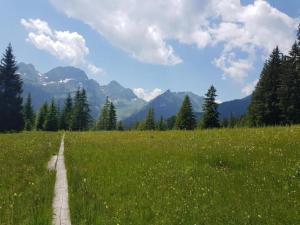 ein Feld mit grünem Gras und einer unbefestigten Straße in der Unterkunft Die Ferienwohnung Chäserruggblick mit Charme in Unterwasser + 32 Fotos