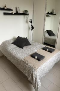 a bed with two towels on it in a room at Studio Cosy - Manoir Securisé - Avon in Avon