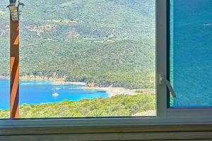 Příroda nedaleko vily