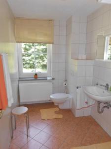 a bathroom with a toilet and a sink and a window at Wolfsgrund in Sayda