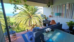 ein Wohnzimmer mit einem blauen Sofa und einer Palme in der Unterkunft Ferienhaus für 3 Personen ca 60 m in Nordestinho, Azoren Sao Miguel in Nordestinho