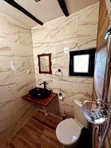 une salle de bains avec toilettes et lavabo dans l'établissement Bachvarov house Бъчваровата къща, à Palitsi