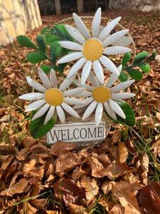 Κήπος έξω από το Vikendica Silenzio