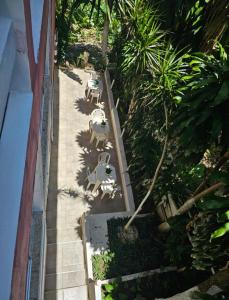 Κήπος έξω από το Apto 2 Quartos na Rua Pituba 1 Caminho das Praias +36 φωτογραφίες