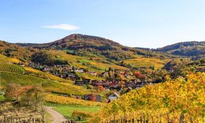 Φυσικό τοπίο κοντά σε αυτό το διαμέρισμα