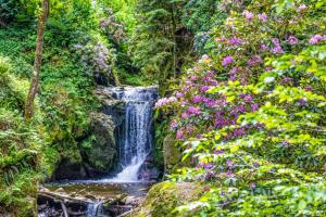 Příroda nedaleko apartmánu