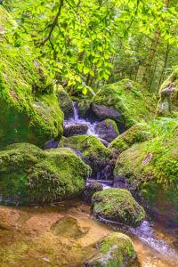 Příroda nedaleko apartmánu