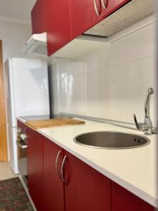 a kitchen with a sink and a refrigerator at Primera Linea de Playa in Bueu +22 photos