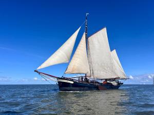 a sail boat with white sails in the water at Klipper Engelburg in Zwolle +20 photos