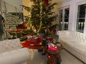 Billede fra billedgalleriet på Holiday Luxury Villa Indoor Infinity Pool near Basel i Kandern