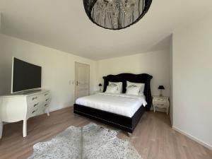 Billede fra billedgalleriet på Holiday Luxury Villa Indoor Infinity Pool near Basel i Kandern + 7 billeder