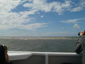 Loodusmaastik apartemendi lähedal