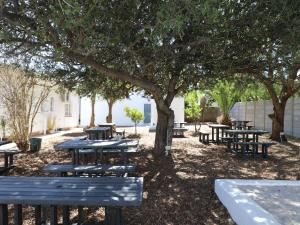 Un jardín fuera de The Old Posthouse