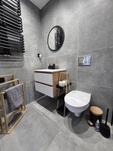 a bathroom with a white toilet and a mirror at Apartament Moniuszko in Jedlina-Zdrój