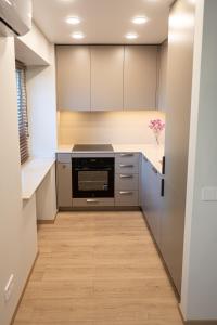 Kuchyň nebo kuchyňský kout v ubytování Vytauto 12