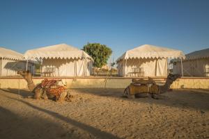 Ảnh trong thư viện ảnh của Royal pavilion camps ở Sām