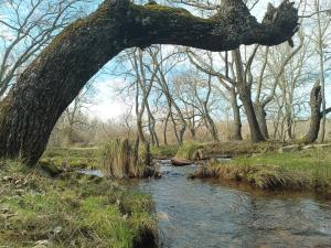 Φυσικό τοπίο κοντά σε αυτό το σαλέ