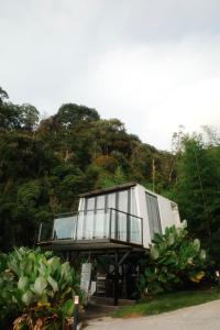 Κήπος έξω από το A'moss Farmstay