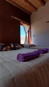 1 Schlafzimmer mit 2 Betten und einem Fenster in der Unterkunft Cabañas Mallma in Tilcara + 15 Fotos