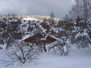 ein Haus ist mit Schnee bedeckt auf einem Feld in der Unterkunft Studio für 2 Personen ca 33 m in Bayerisch Eisenstein, Bayern Bayerischer Wald in Bayerisch Eisenstein