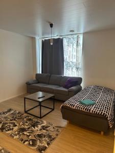 Posezení v ubytování Hostel400Kokkola Kolmio Mannerheiminaukio