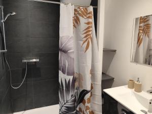a bathroom with a shower with a shower curtain at Très joli F4 neuf au pied du Château avec jardin in Rouffach +27 photos