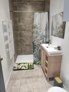 a bathroom with a shower and a sink at Très joli F4 neuf au pied du Château avec jardin in Rouffach