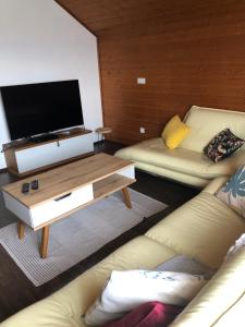 TV a/nebo společenská místnost v ubytování Mühlebach Apartment
