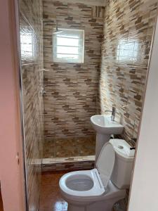 ein Badezimmer mit Toilette, Waschbecken und Dusche in der Unterkunft Lajoy Executive Lodge in Lusaka