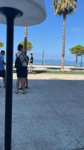 Επισκέπτες που μένουν στο Eriseld house