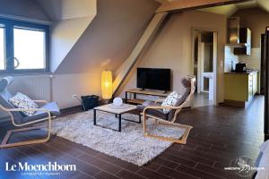 a living room with two chairs and a tv at Combo Praelatenberg 2 appartements dans la même maison in Orschwiller