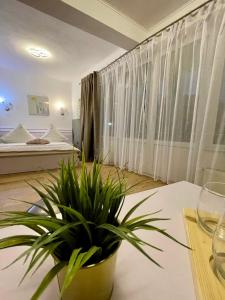 ein Raum mit einem Tisch mit einer Topfpflanze in der Unterkunft Pensiunea Carina in Bran