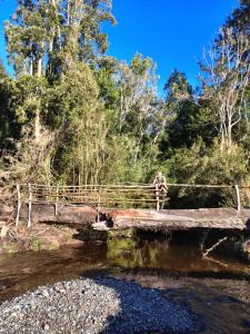 Příroda nedaleko prázdninového domu