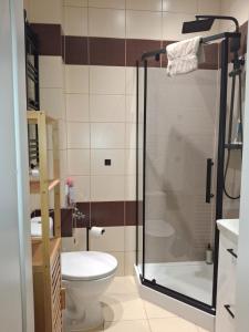 a bathroom with a shower and a toilet at Studio przy Szpitalu in Szczecin