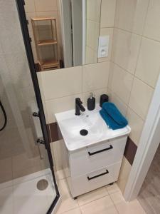 a bathroom with a sink and a shower at Studio przy Szpitalu in Szczecin
