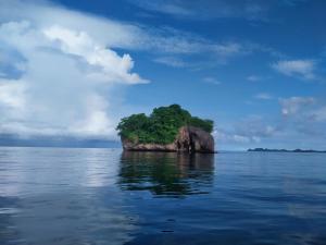 an island in the middle of the water at Seawhip Homestay in Minyaifuin +18 photos