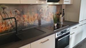 弗拉塔赫Appartement Dollnig的带水槽和炉灶的厨房