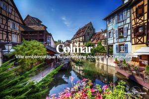 a river in a town with houses and flowers at Combo Praelatenberg 2 appartements dans la même maison in Orschwiller