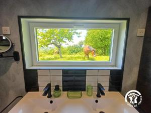 une fenêtre au-dessus d'un évier avec un cheval dans un champ dans l'établissement La Maison d'à côté, à Mur-de-Barrez 12 autres photos