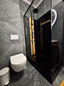 une salle de bain avec des toilettes blanches et une douche dans l'établissement Skyresort- Kingsize Bed, Close To The Airport, à Someşeni 21 autres photos