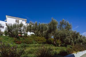 a white house with trees and flowers on a hill at Cape Blue Suites in Achladies