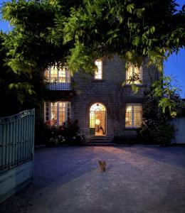 Eine Katze, die nachts vor einem Haus sitzt in der Unterkunft Lala Saul in Quimper