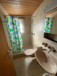 Ένα μπάνιο στο Chalet Hofer