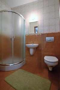 a bathroom with a shower and a toilet and a sink at Górski Ośrodek Wczasowy Kościelec in Czarna Góra