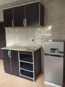 Kuchyň nebo kuchyňský kout v ubytování Ike Service Apartments